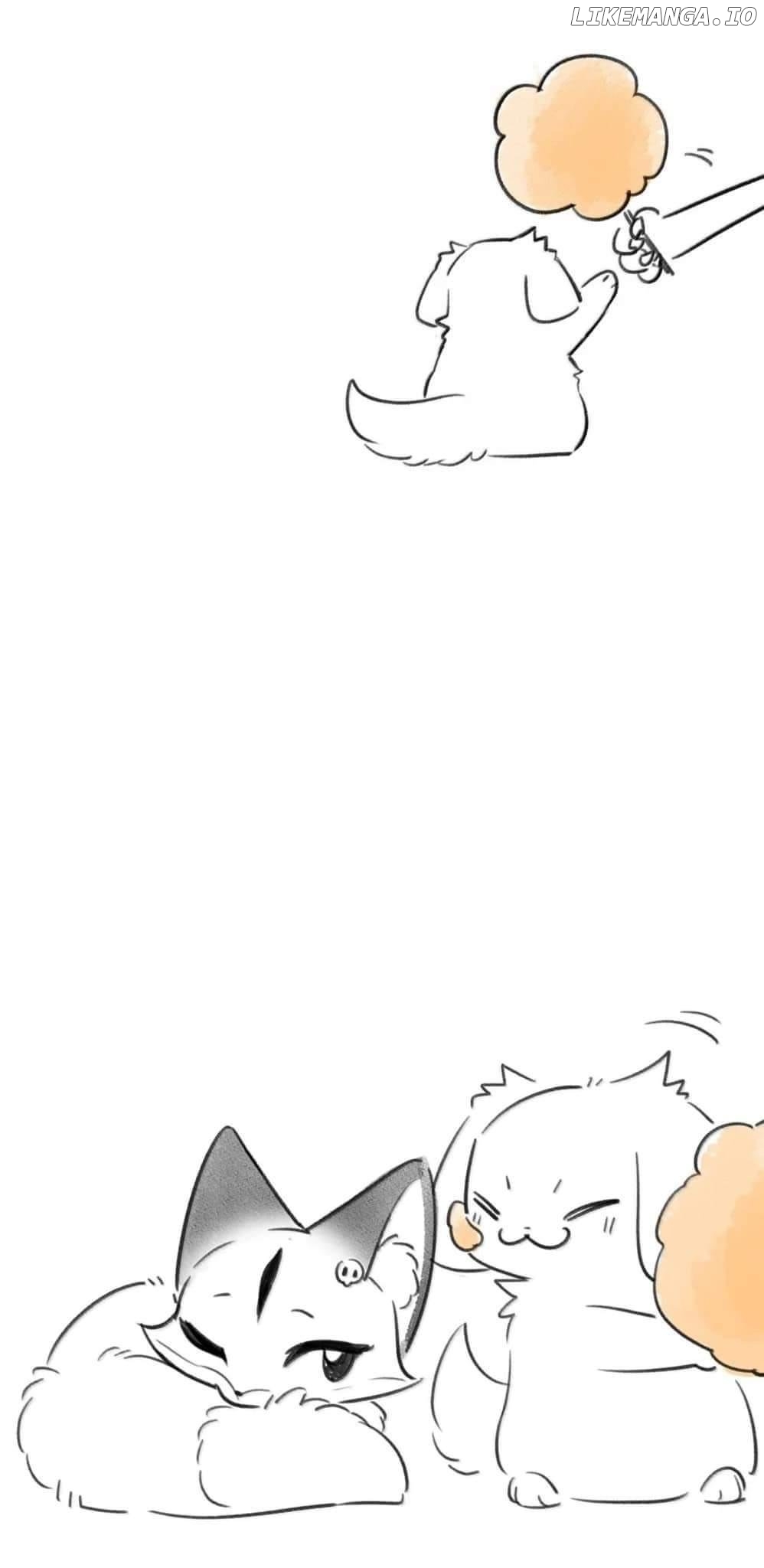 My Food Seems To Be Very Cute Chapter 199 - page 63