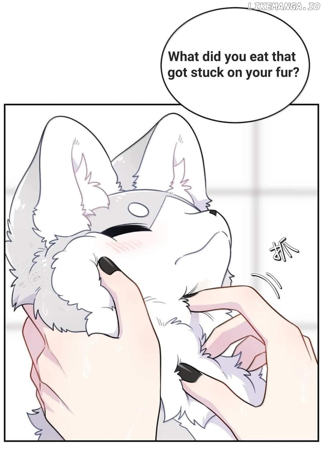 My Food Seems To Be Very Cute Chapter 201 - page 34