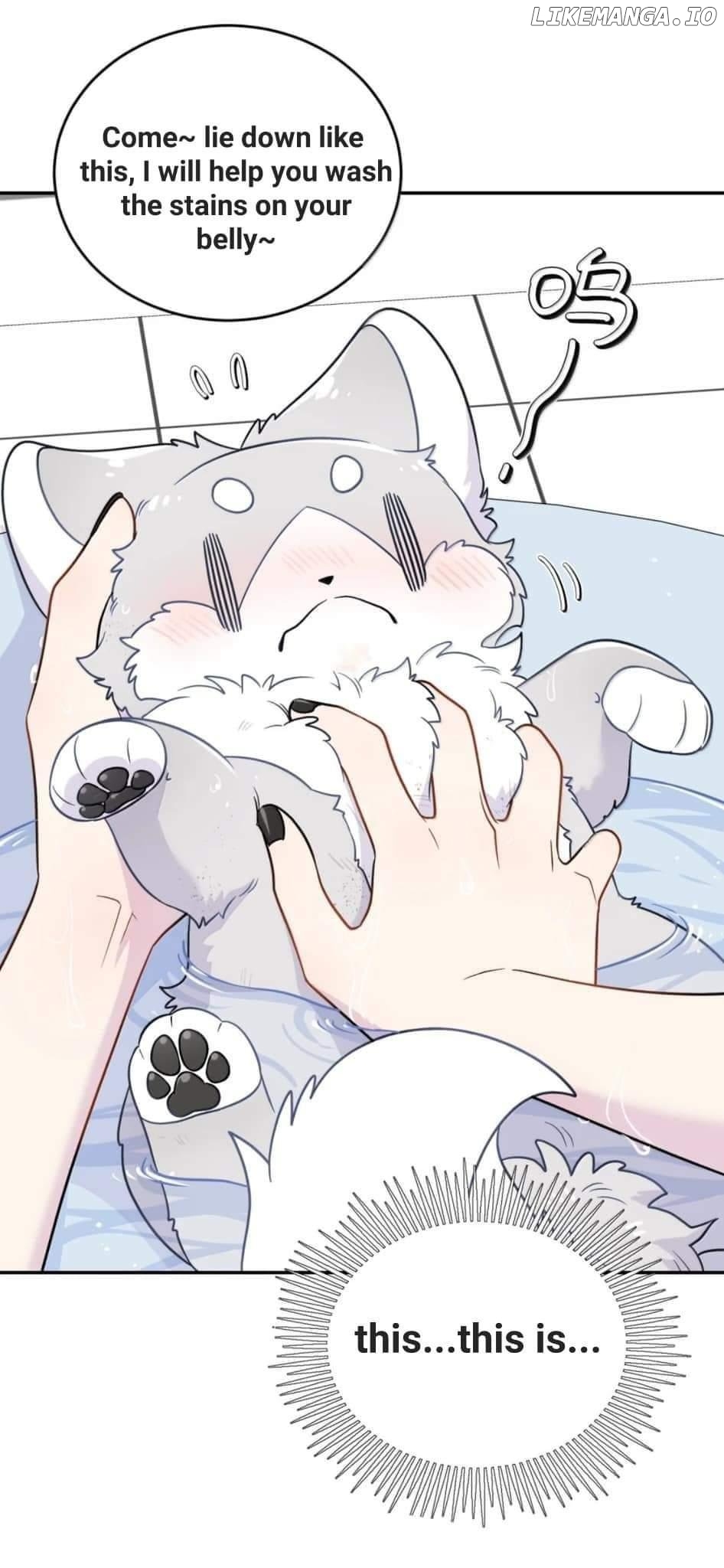 My Food Seems To Be Very Cute Chapter 201 - page 35