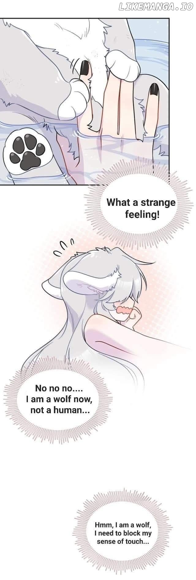 My Food Seems To Be Very Cute Chapter 201 - page 39