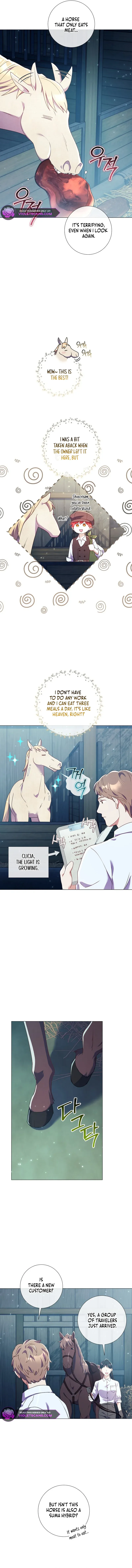 How Can There be a Divorce When We Haven’t Even Married, Your Majesty? Chapter 24 - page 9