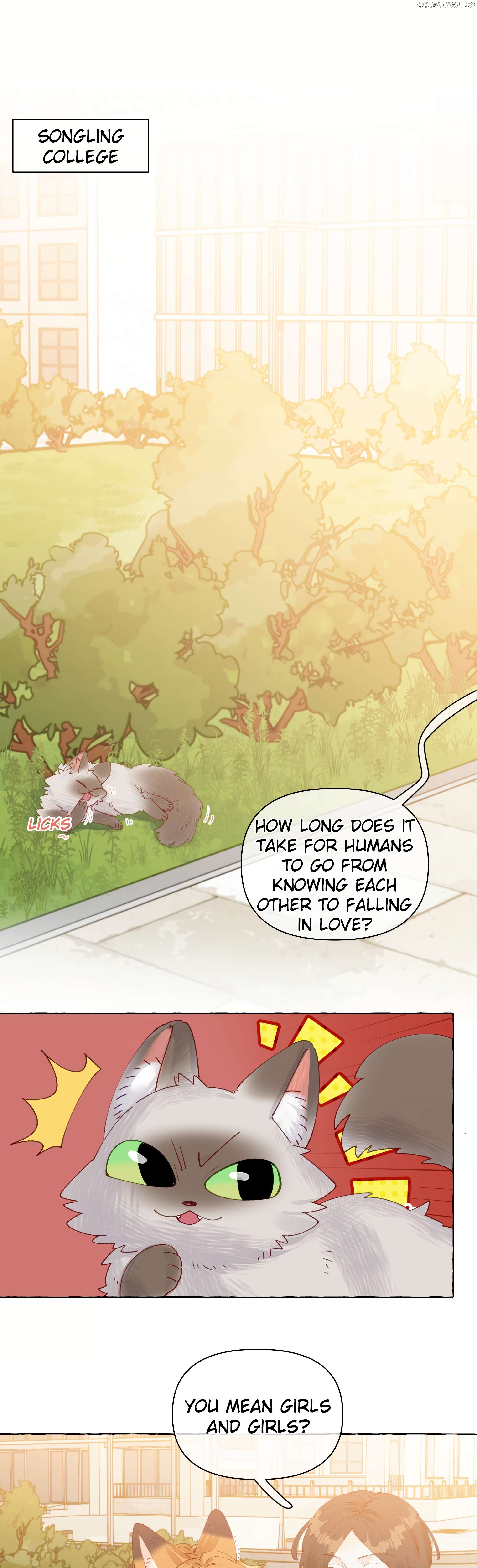 Foxes Always Lie Chapter 12 - page 2