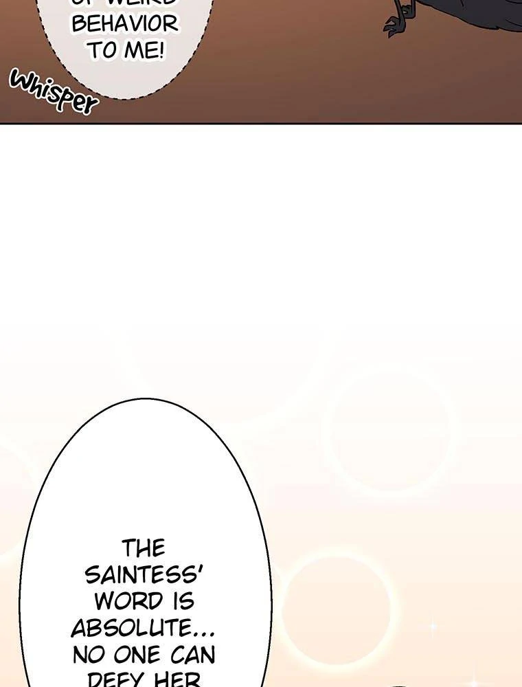 I'm a Saint but I've Had Enough With Humans So I Decided to Team up with the Demon Queen to Destroy The Human World Chapter 10 - page 39