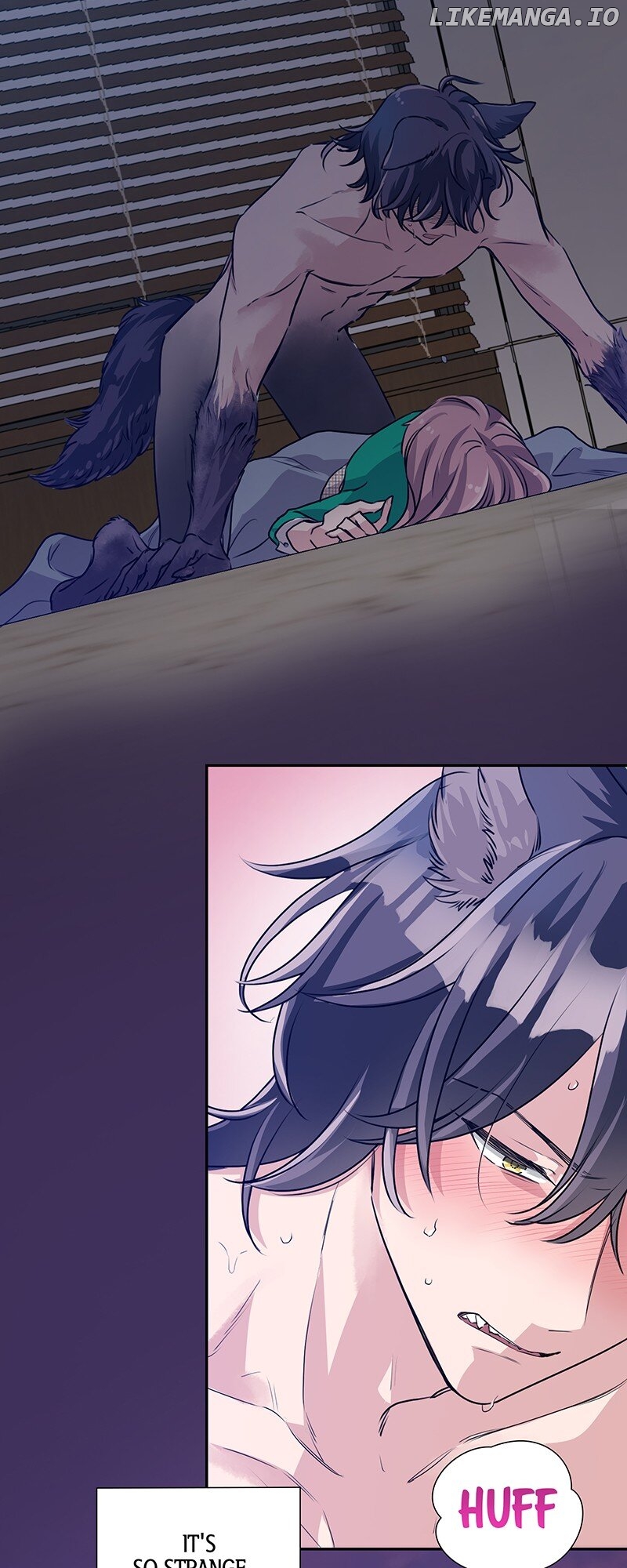 I'm NOT Afraid of Wolves! [Official] Chapter 12 - page 2