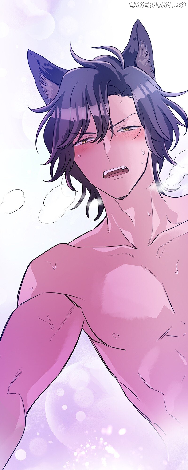 I'm NOT Afraid of Wolves! [Official] Chapter 12 - page 5