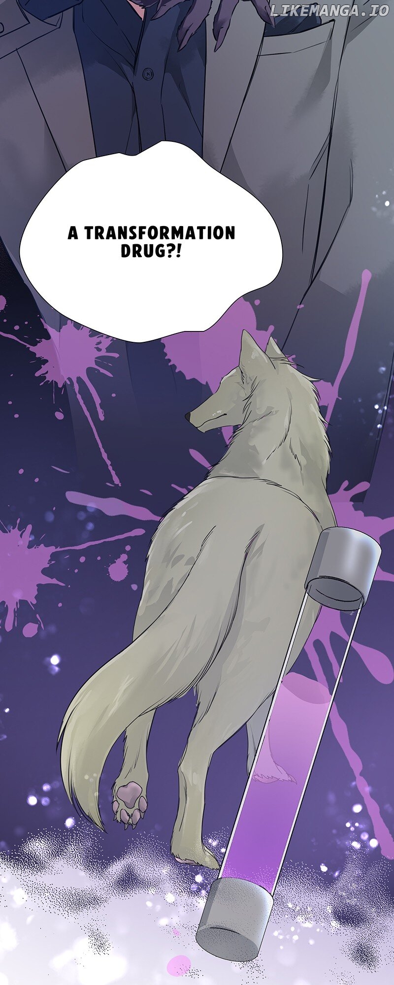 I'm NOT Afraid of Wolves! [Official] Chapter 15 - page 19