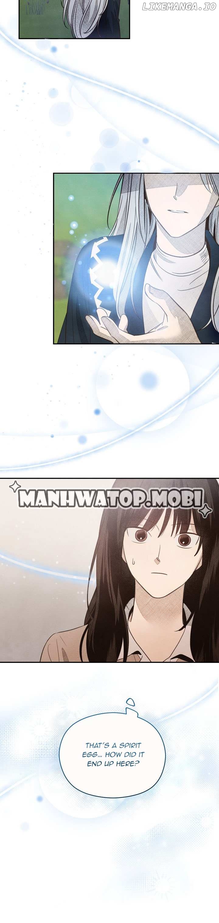 S-Class Spirit Master’s Taming Diary Chapter 1 - page 26