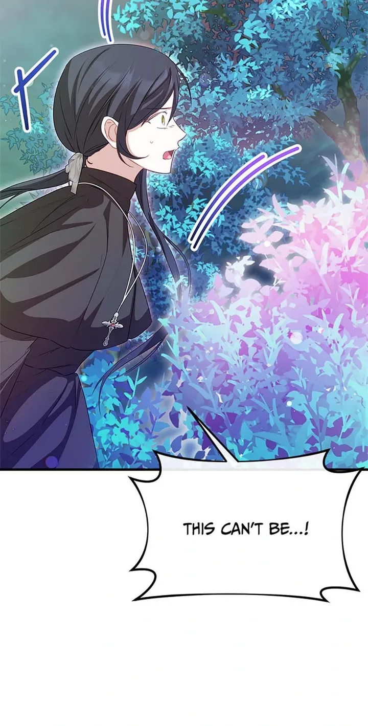 The Twin Sister Goes on Strike Chapter 54 - page 25
