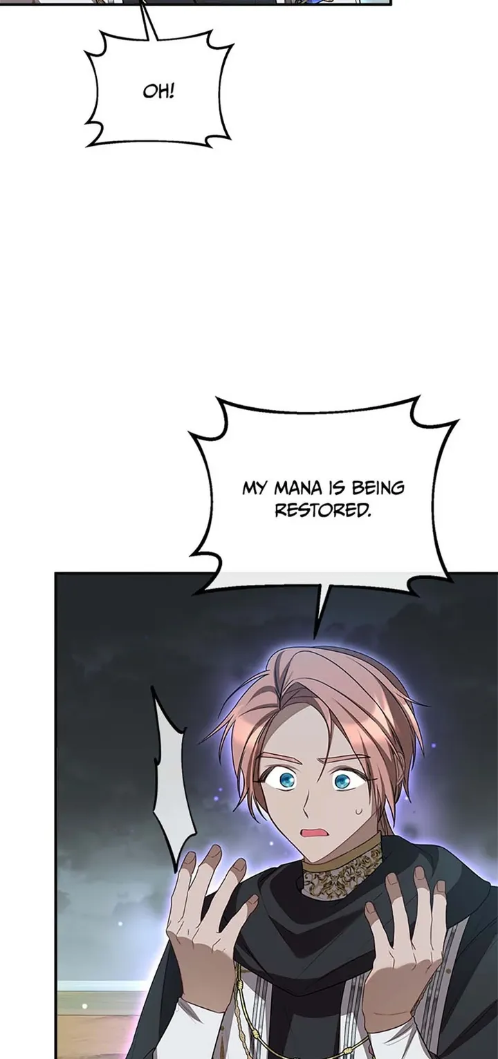 The Twin Sister Goes on Strike Chapter 61 - page 39