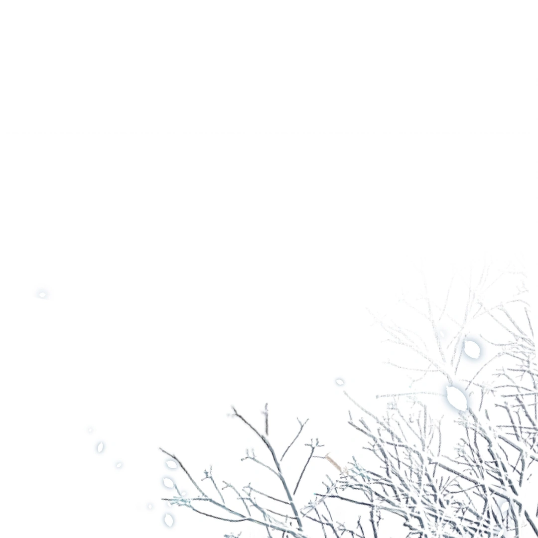 In My Death, I Became My Brother’s Regret Chapter 32 - page 12