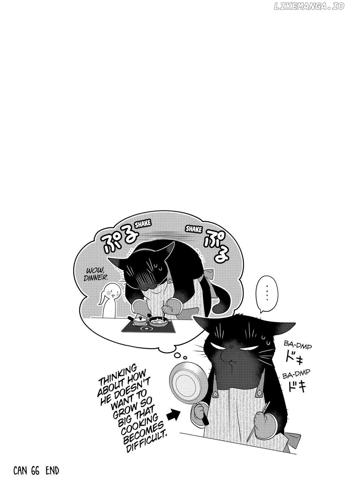 The Deceitful Cat Is Depressed Again Today Chapter 66 - page 5
