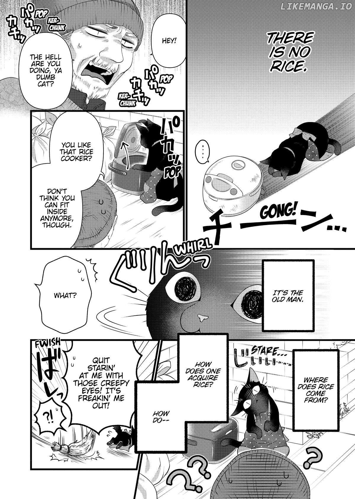 The Deceitful Cat Is Depressed Again Today Chapter 56.5 - page 4