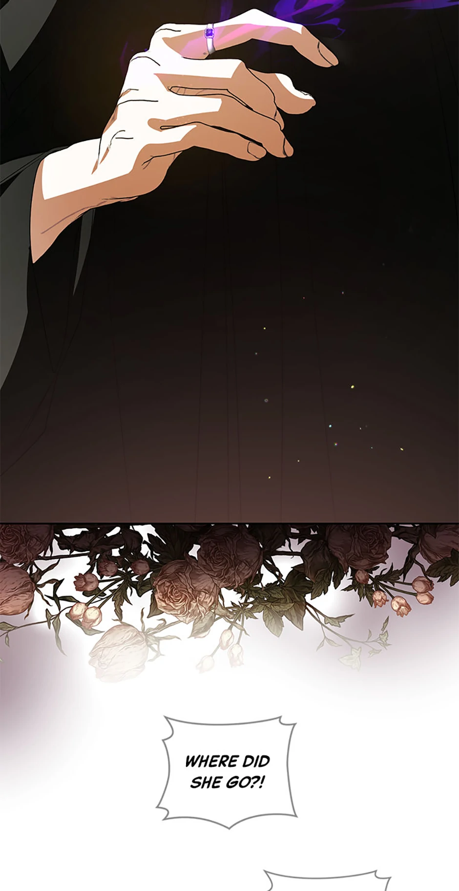 Falling into the Arms of a Mad Villain Chapter 47 - page 48