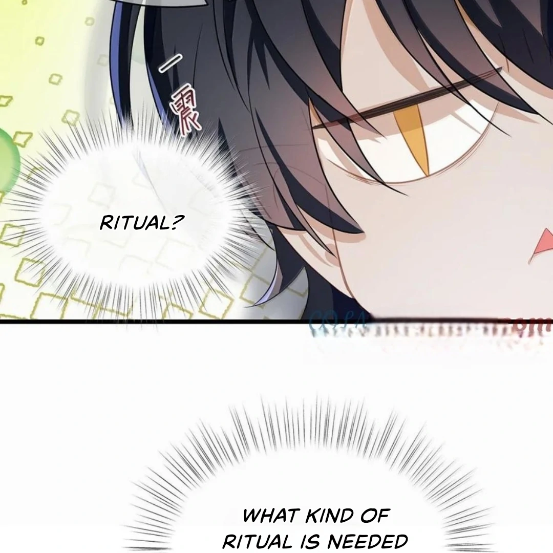 I Was Reborn as His Highness the Prince's Little Evil Dragon Chapter 62 - page 7