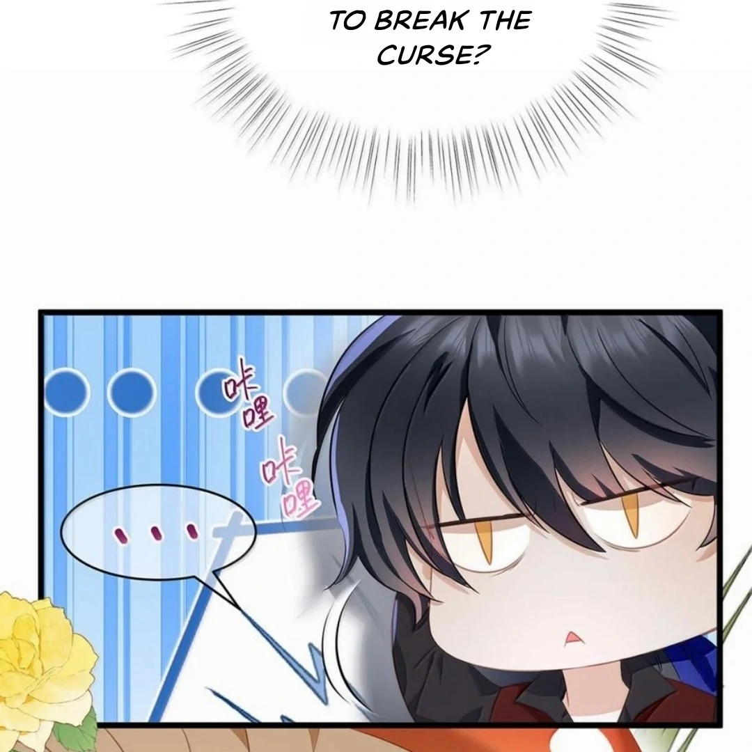 I Was Reborn as His Highness the Prince's Little Evil Dragon Chapter 62 - page 8