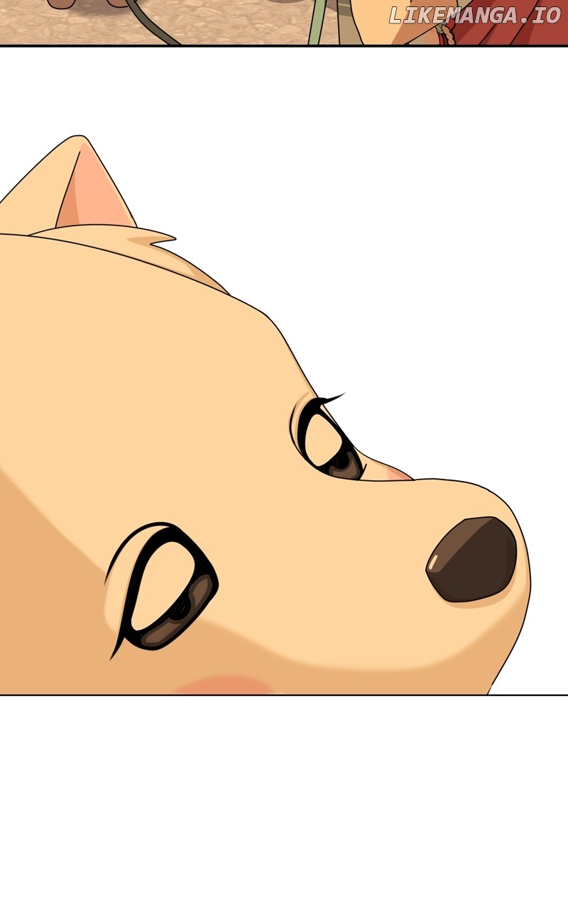 The Dog Diaries Chapter 185 - page 36