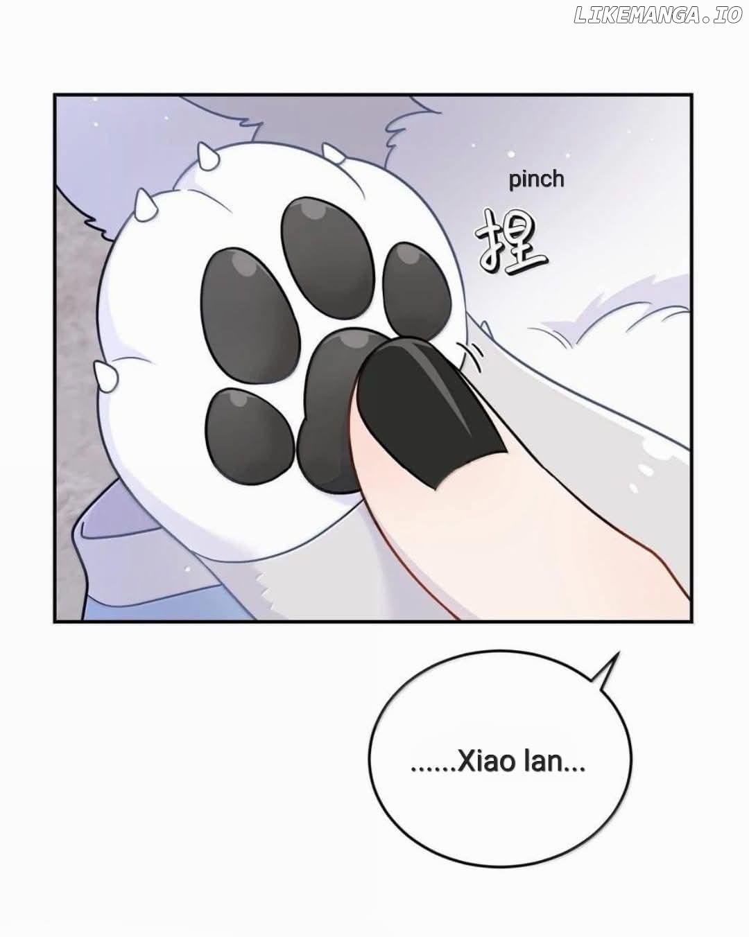My Food Seems To Be Very Cute Chapter 202 - page 41