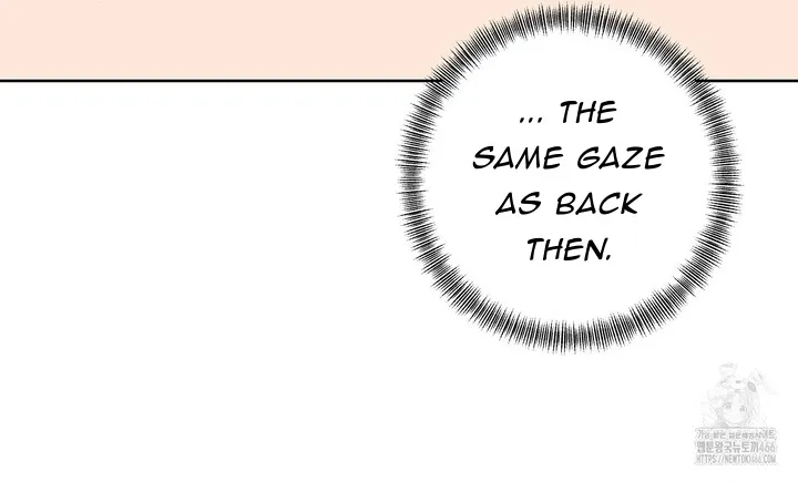 The S-Class Guide as Sweet as Honey Chapter 45 - page 14