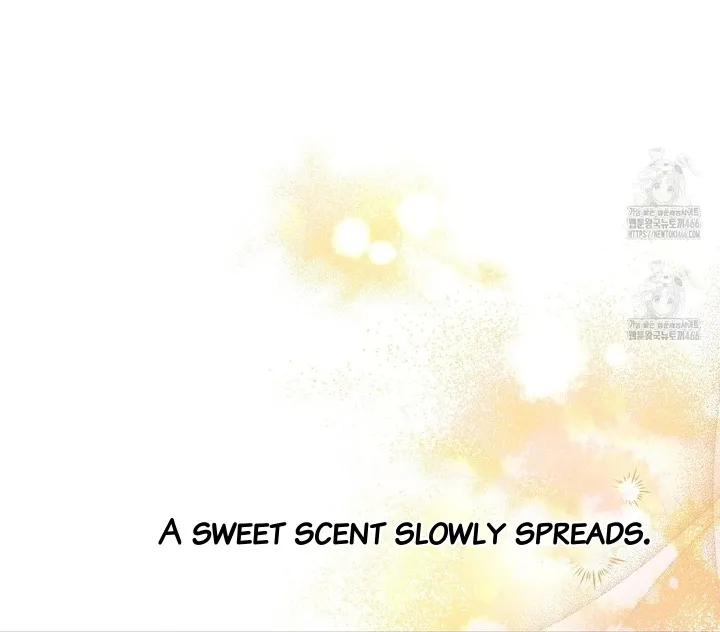 The S-Class Guide as Sweet as Honey Chapter 45 - page 45