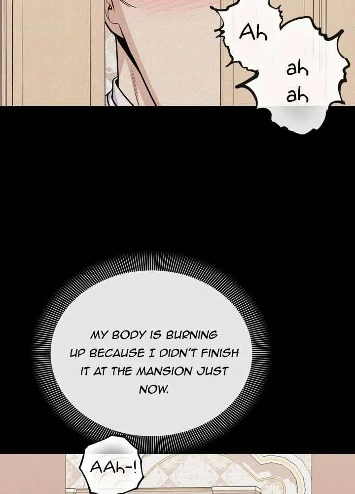 In The Night, At The Duke’s Mansion Chapter 19 - page 28