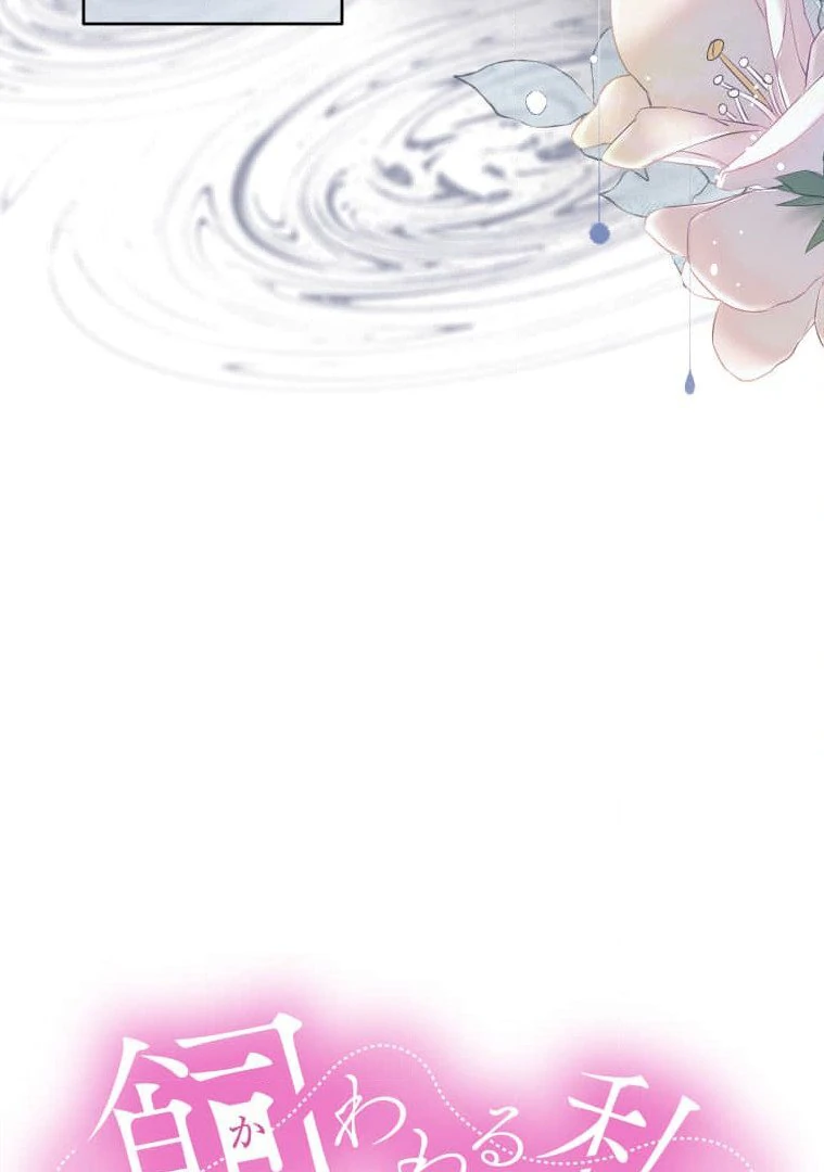 Trapped By The Crazy Twins Chapter 13 - page 9