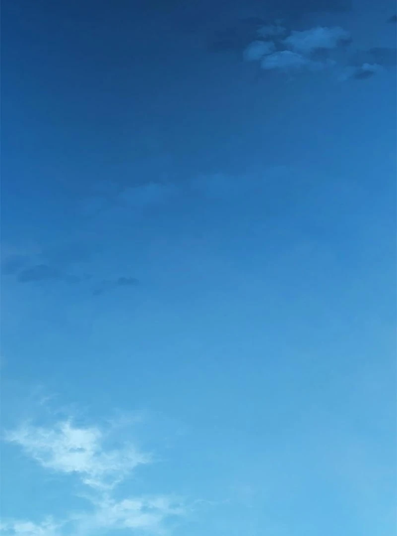 I Need Someone to Stop My Older Brothers Chapter 16 - page 129