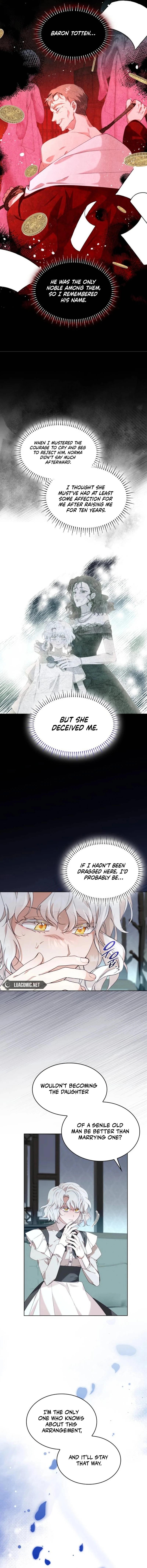 The Day The Real One Appeared Chapter 1 - page 15