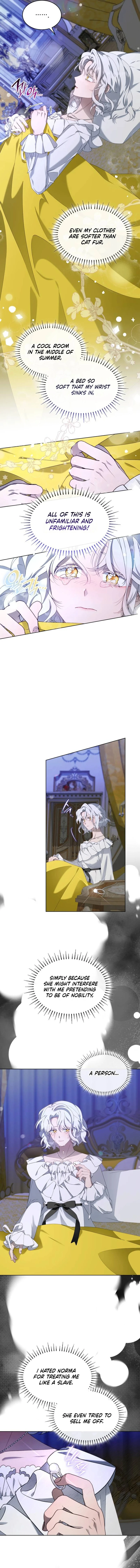 The Day The Real One Appeared Chapter 2 - page 7