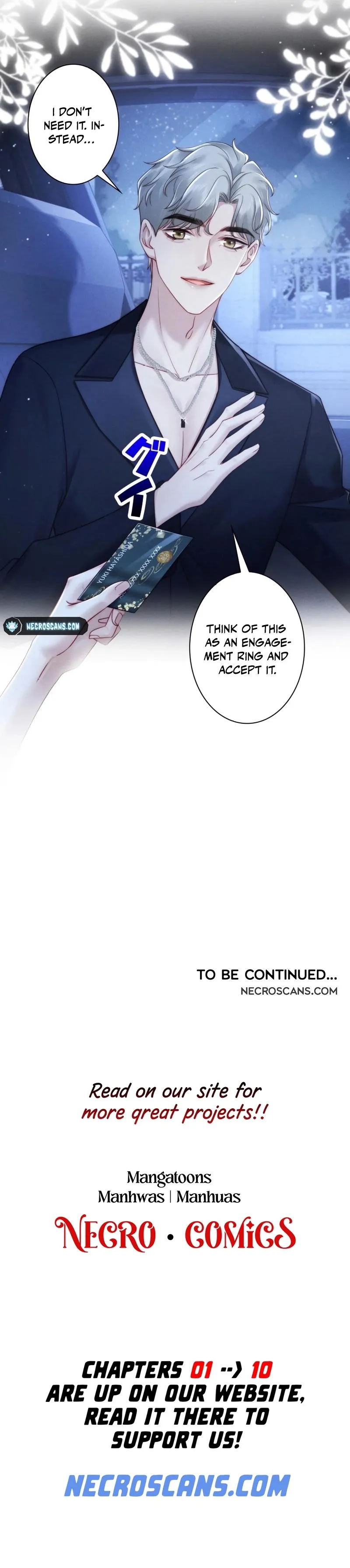 A Complicated Marriage With the Wolf Prince Chapter 5 - page 11