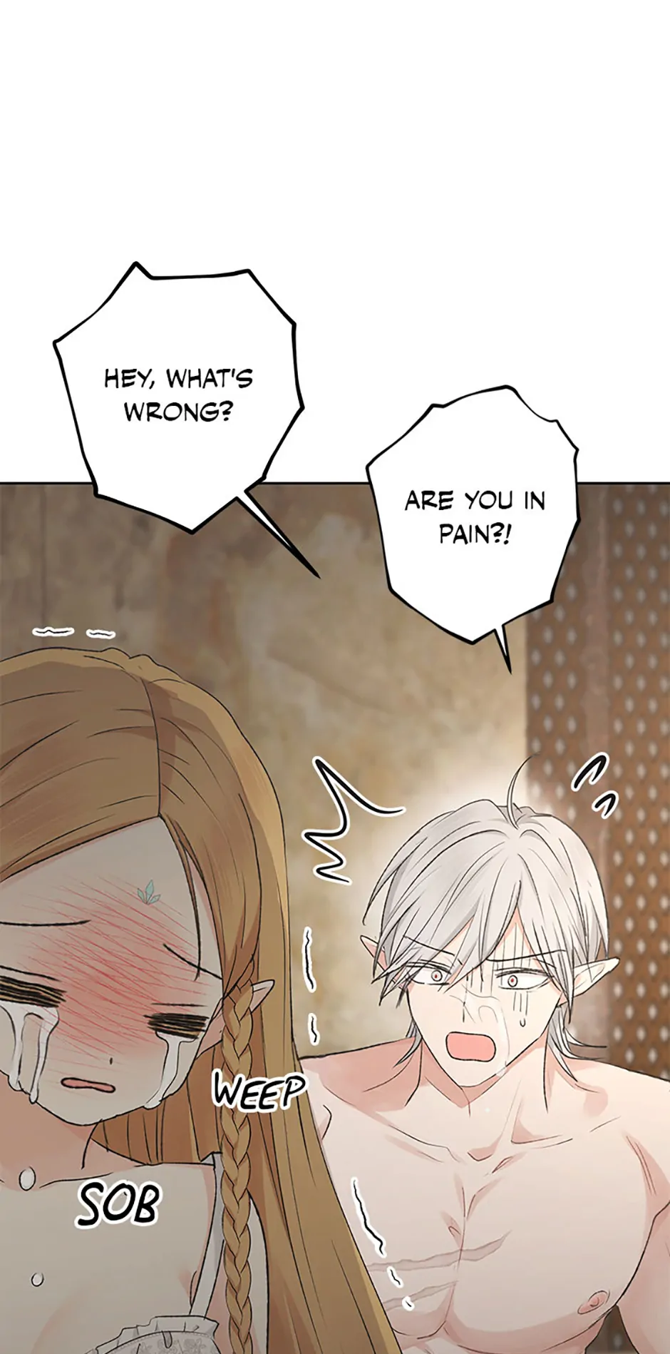 The Mating of Elves Chapter 8 - page 11