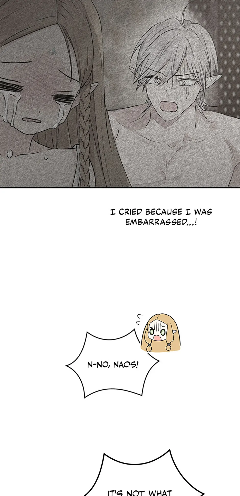 The Mating of Elves Chapter 9 - page 19