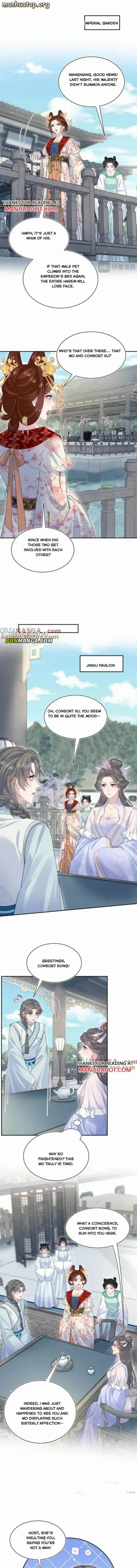 Brilliantly Beautiful White Lotus Teaching Online Chapter 375 - page 2