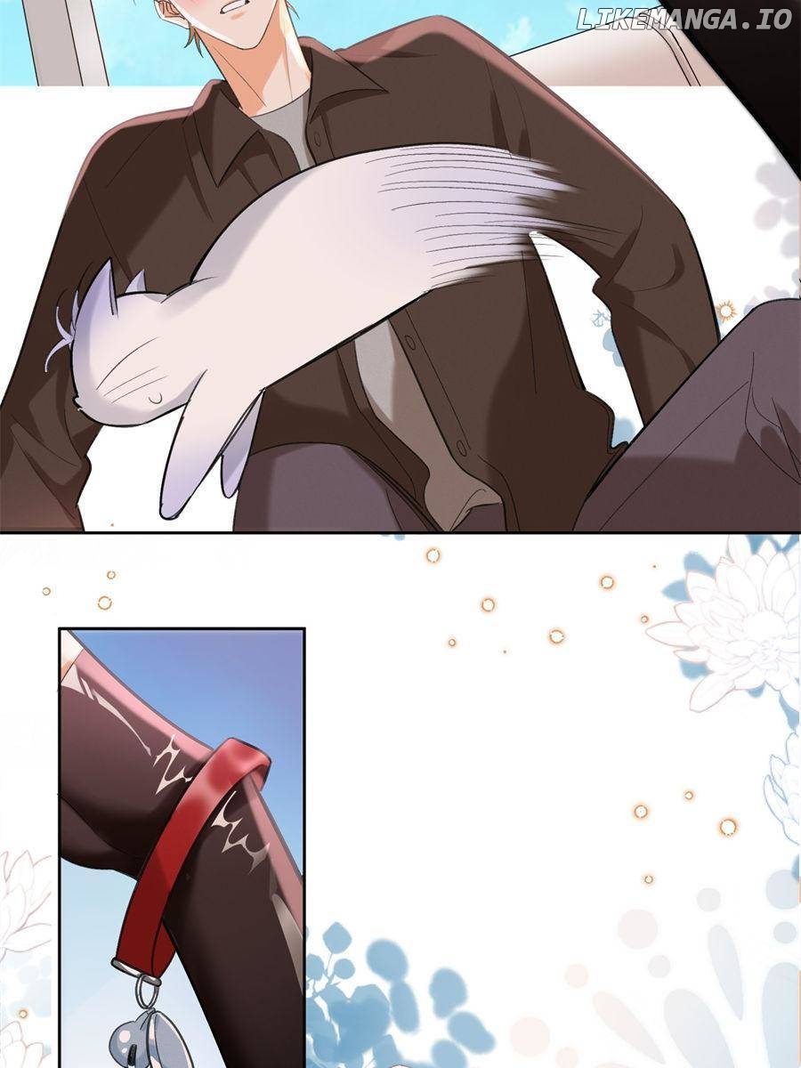 I Have To Work Hard As A Cat Today Chapter 104 - page 11