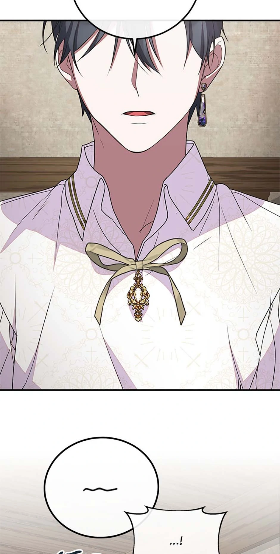 The Twin Sister Goes on Strike Chapter 66 - page 5