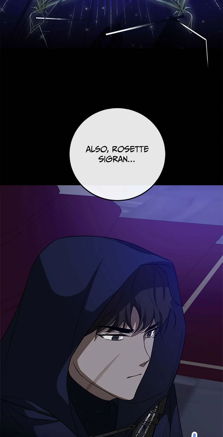 The Twin Sister Goes on Strike Chapter 65 - page 13