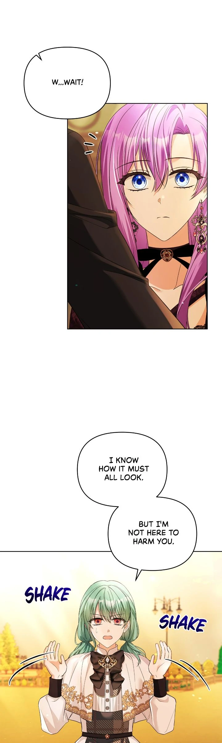 The Ugly Lady’s Secret Pouch Chapter 47 - page 13