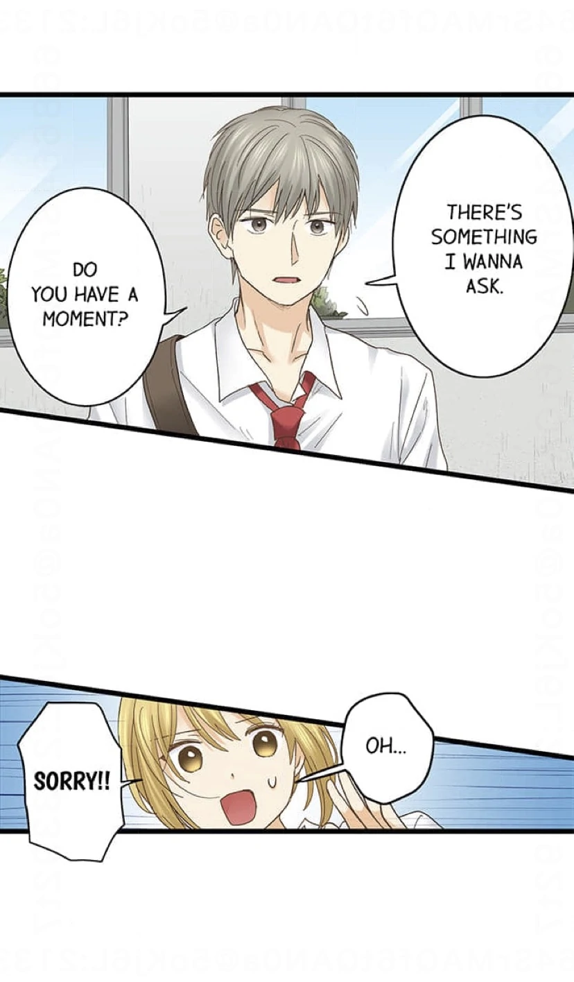 Running A Love Hotel With My Math Teacher Chapter 229 - page 4