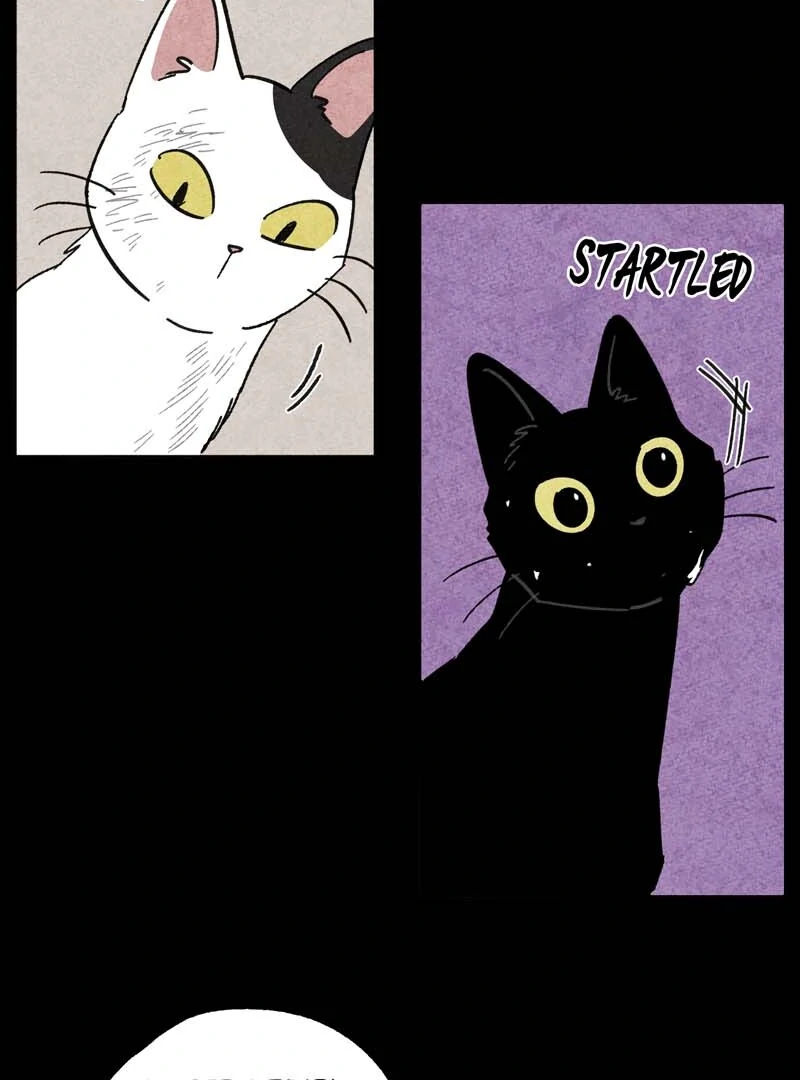 The Tale Of Goldiluck, The Black Kitten Chapter 101 - page 12