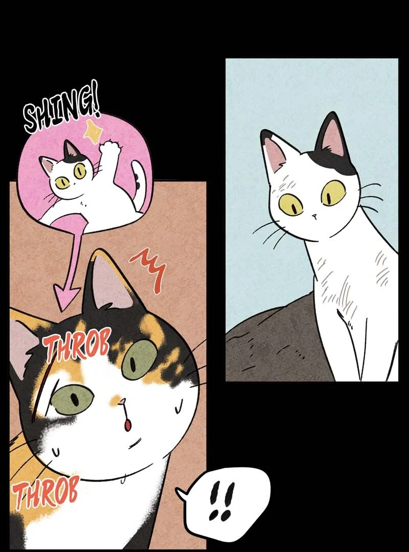 The Tale Of Goldiluck, The Black Kitten Chapter 101 - page 20
