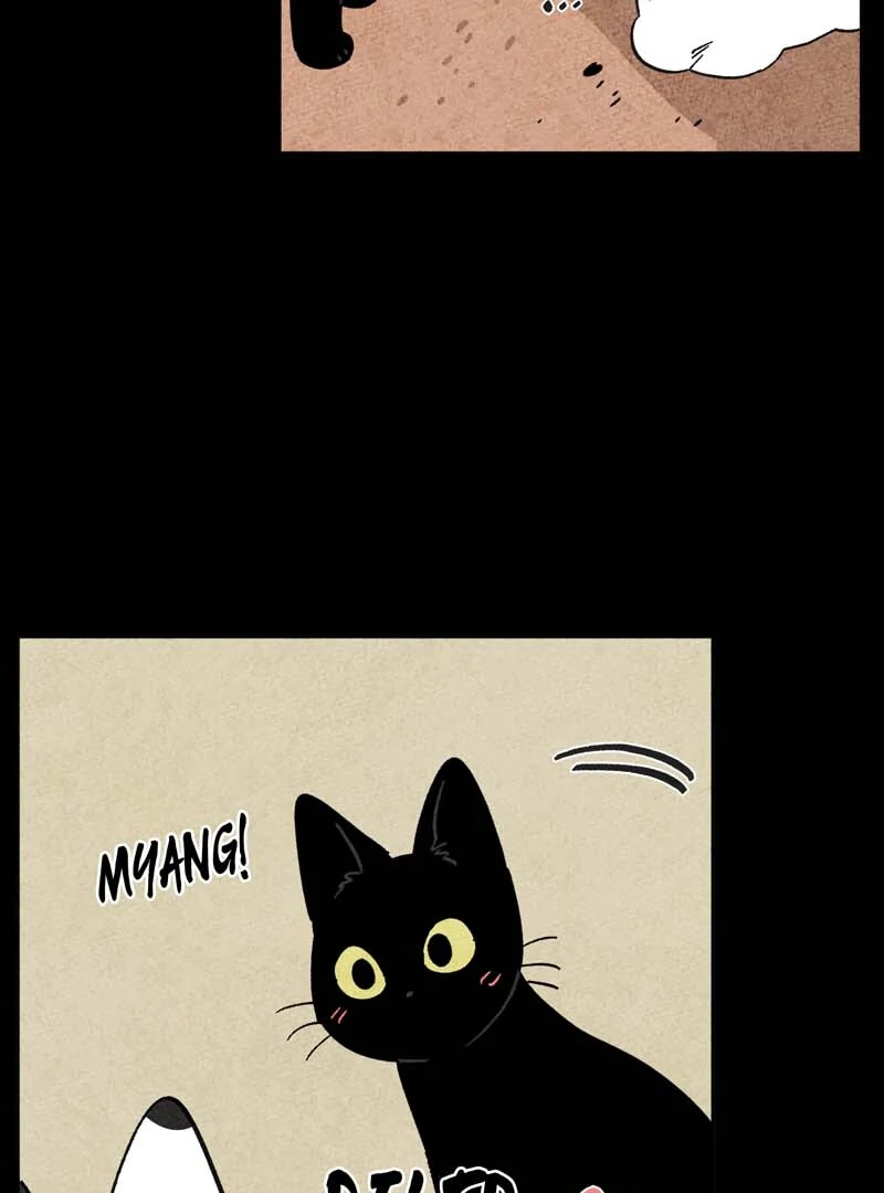 The Tale Of Goldiluck, The Black Kitten Chapter 101 - page 36