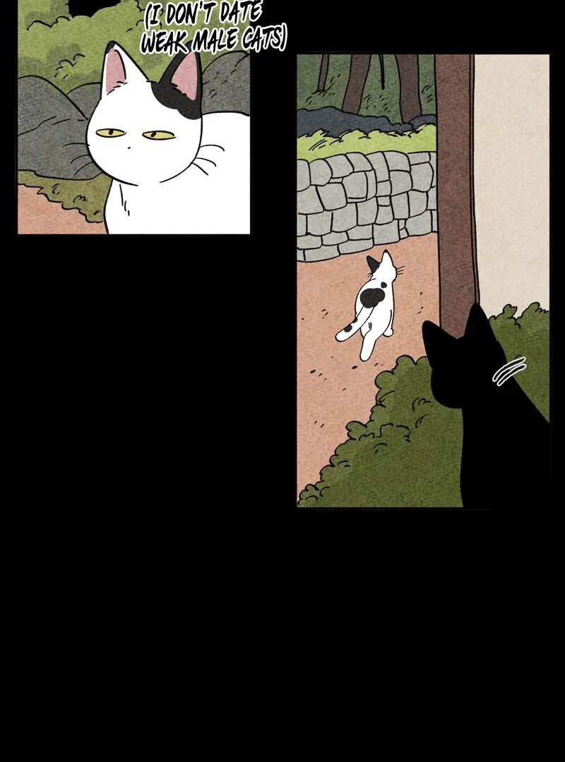 The Tale Of Goldiluck, The Black Kitten Chapter 101 - page 38