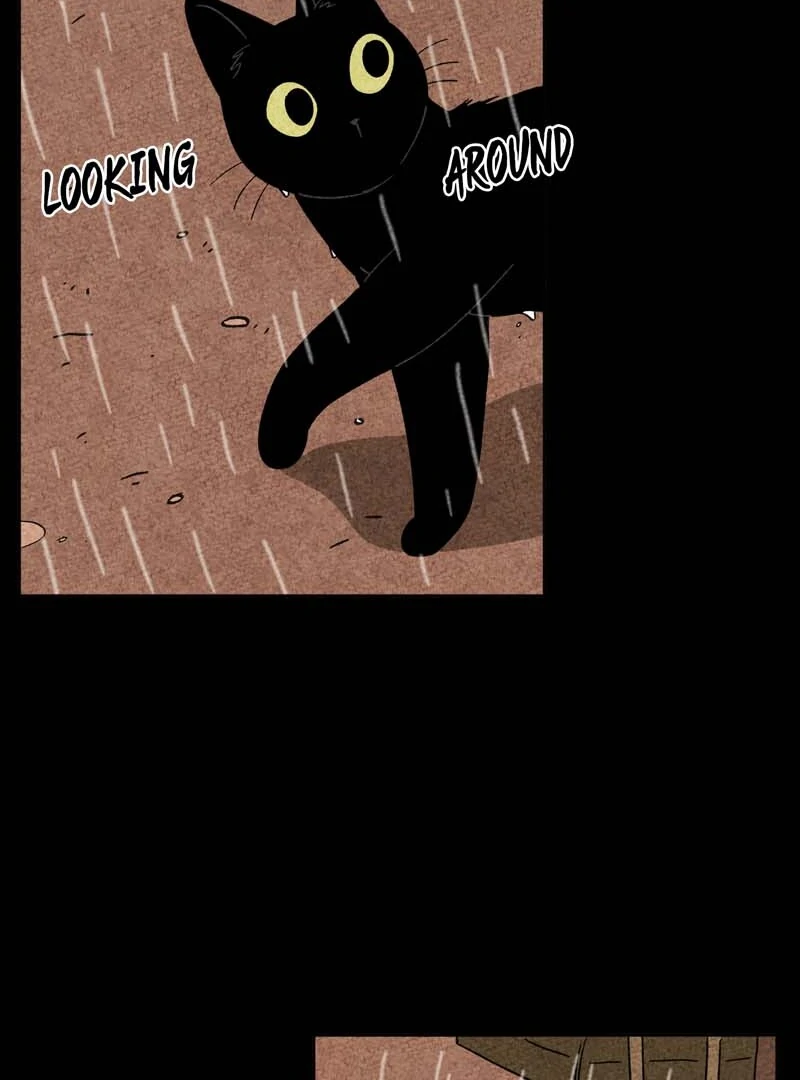 The Tale Of Goldiluck, The Black Kitten Chapter 102 - page 12
