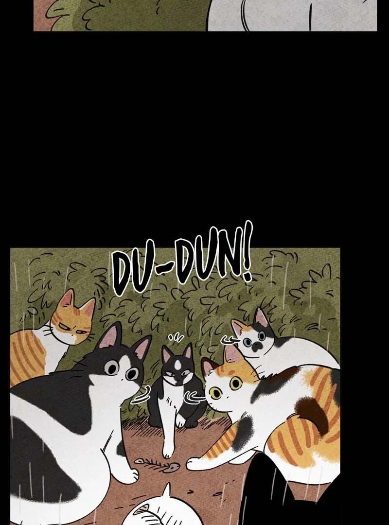 The Tale Of Goldiluck, The Black Kitten Chapter 102 - page 21