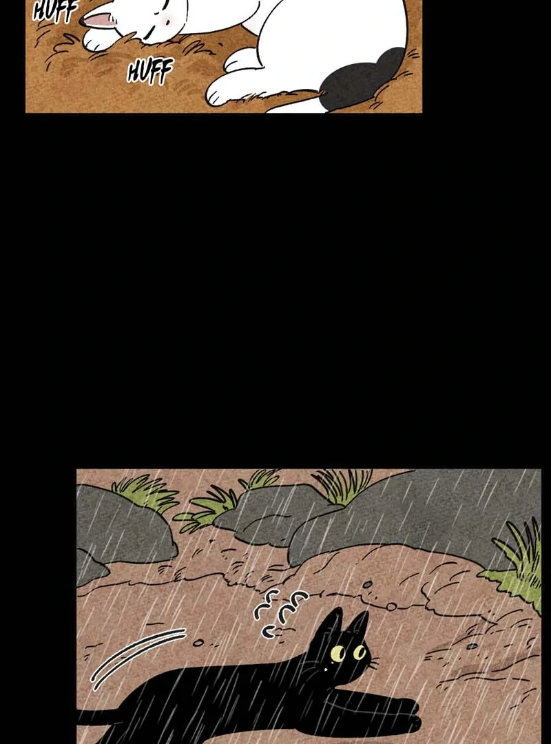 The Tale Of Goldiluck, The Black Kitten Chapter 102 - page 3