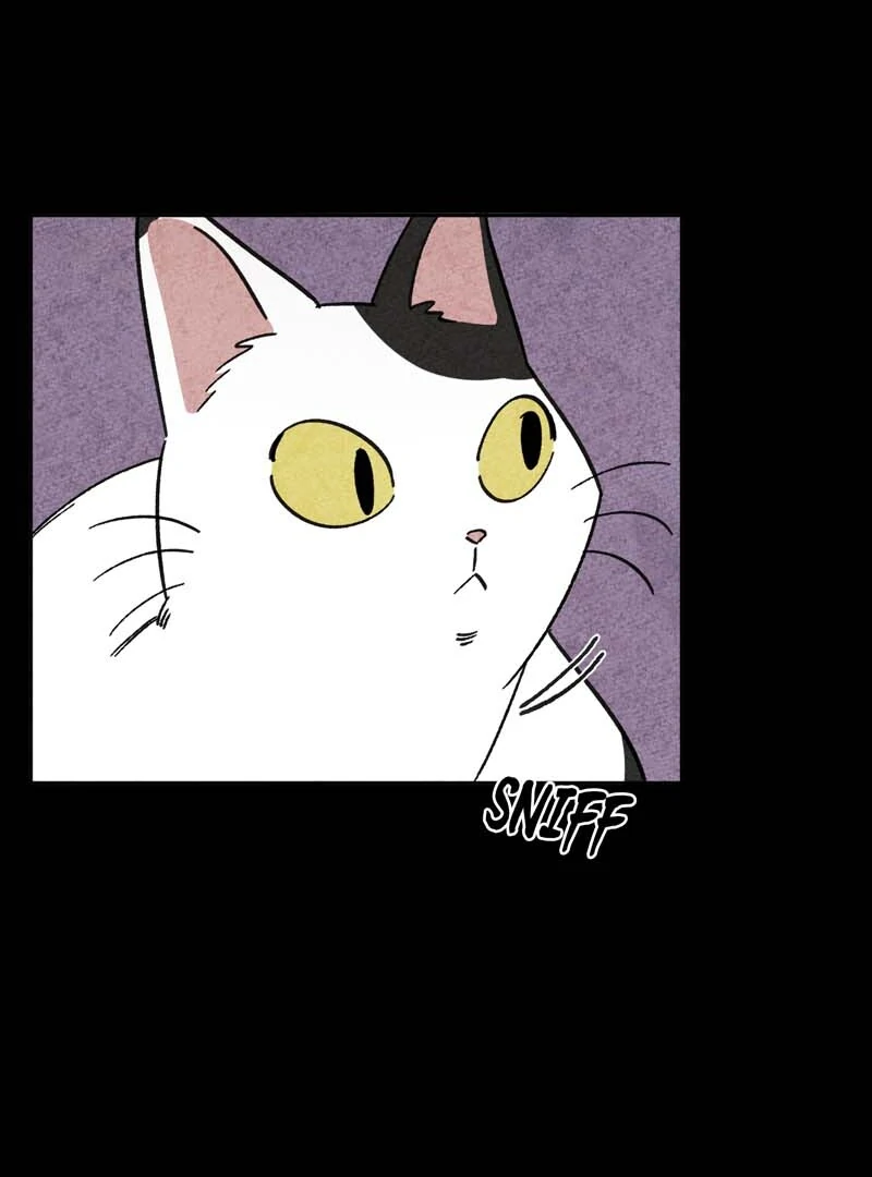 The Tale Of Goldiluck, The Black Kitten Chapter 102 - page 54