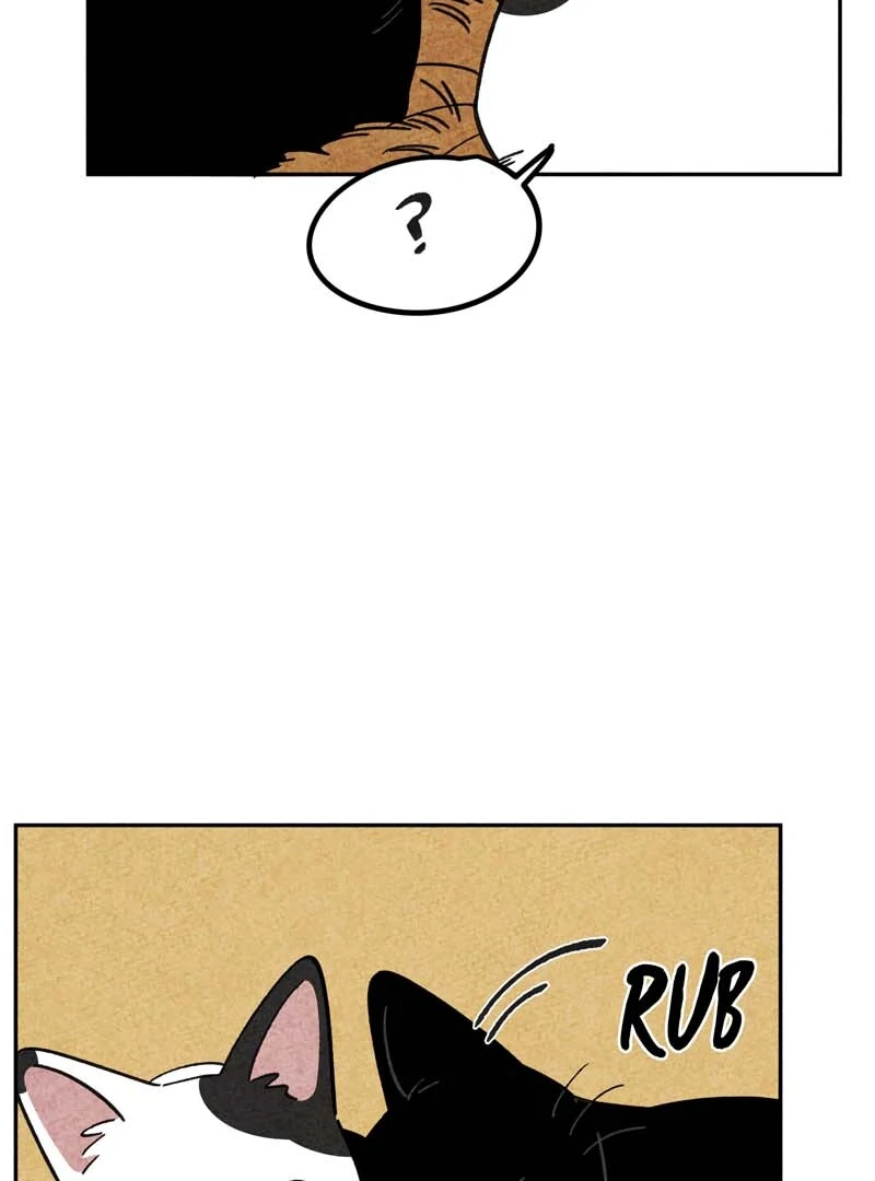 The Tale Of Goldiluck, The Black Kitten Chapter 102 - page 76