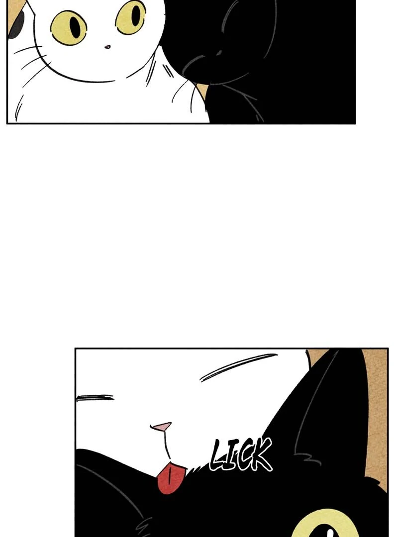 The Tale Of Goldiluck, The Black Kitten Chapter 102 - page 77