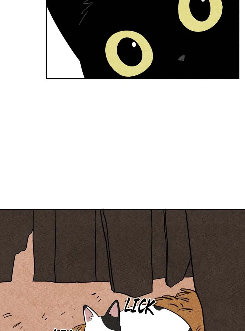 The Tale Of Goldiluck, The Black Kitten Chapter 102 - page 78