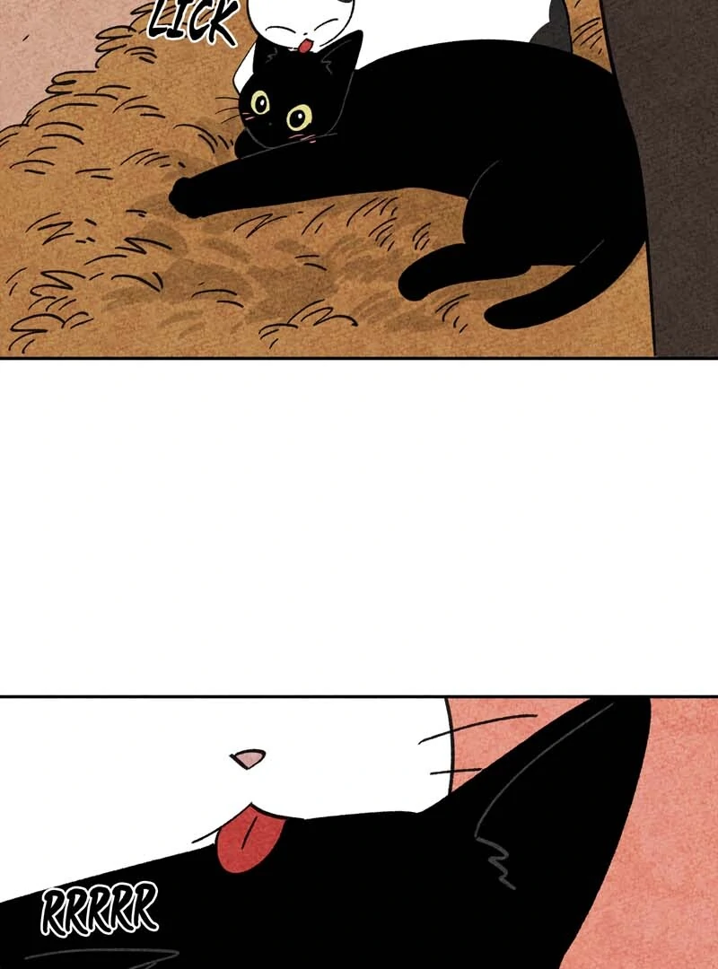 The Tale Of Goldiluck, The Black Kitten Chapter 102 - page 79