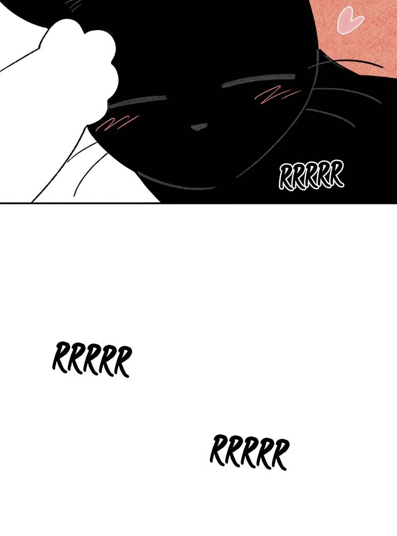 The Tale Of Goldiluck, The Black Kitten Chapter 102 - page 80